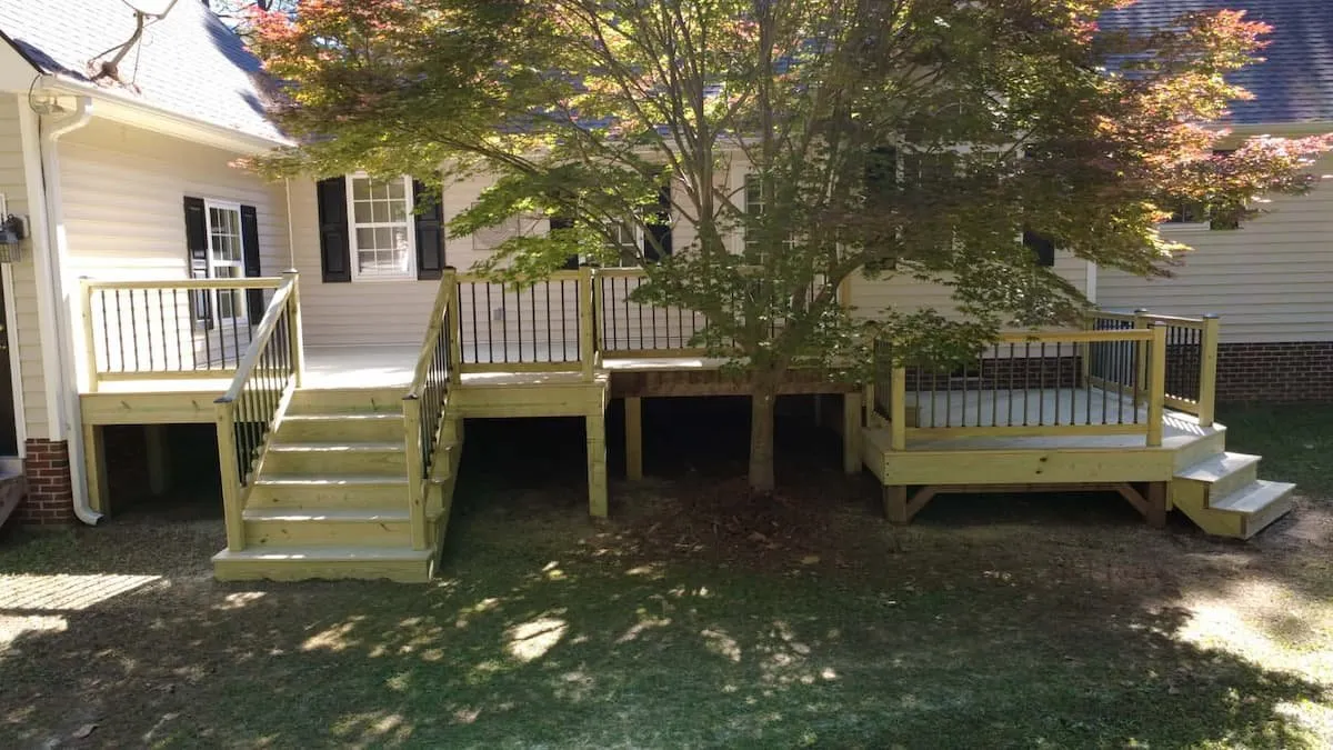 Wood deck and stairs beneath a mature tree
